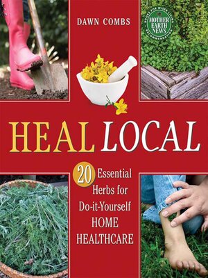 cover image of Heal Local